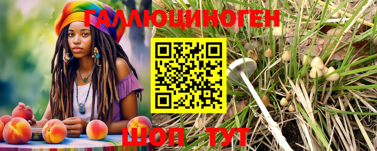 Нововоронеж  Псилоцибиновые грибы Psilocybe  Вход с VPN 